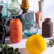 botellon-organico[1]44